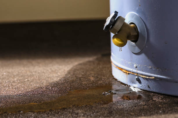 Best Local water damage restoration  in Arden Hills, MN